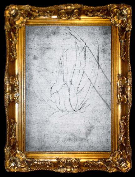 framed  Johann Wolfgang von Goethe Agove, ta009-2